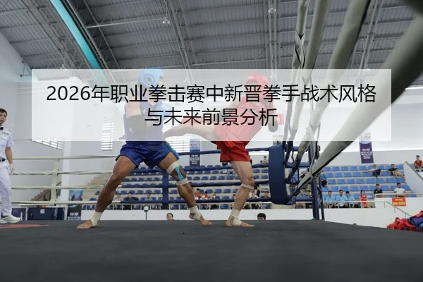 2026年职业拳击赛中新晋拳手战术风格与未来前景分析