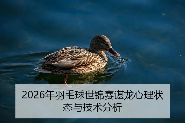 2026年羽毛球世锦赛谌龙心理状态与技术分析
