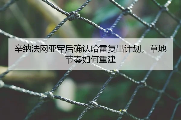 辛纳法网亚军后确认哈雷复出计划，草地节奏如何重建