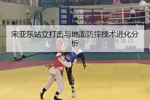 宋亚东站立打击与地面防摔技术进化分析